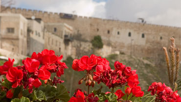 City of David Jerusalem Walls National Park