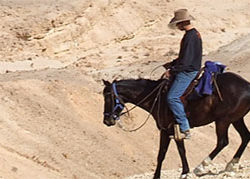 horseback-riding-tours-in-israel