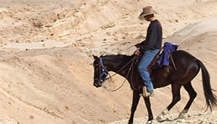 Horseback Riding Tours in Israel