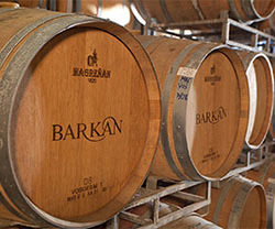 barkan-winery-central-israel